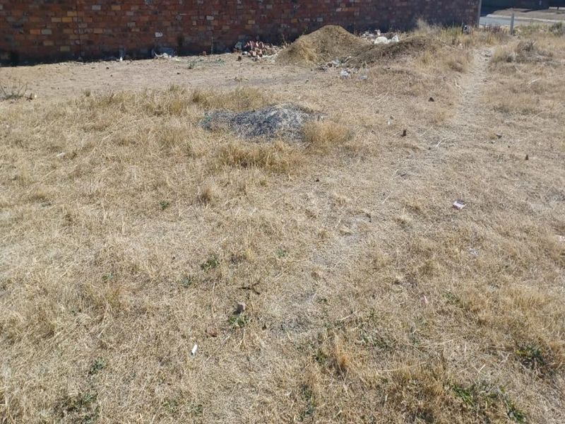A vacant residential plot featuring dry grass, uneven terrain, and a perimeter brick wall, offering a blank canvas for future development.