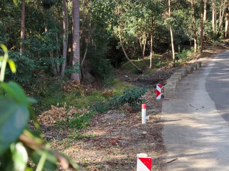 Rare Opportunity in Plettenberg Bay - Photo 4