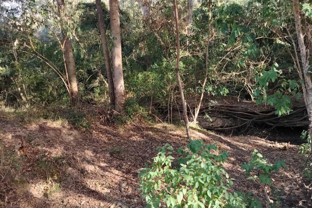 Rare Opportunity in Plettenberg Bay - Photo 3