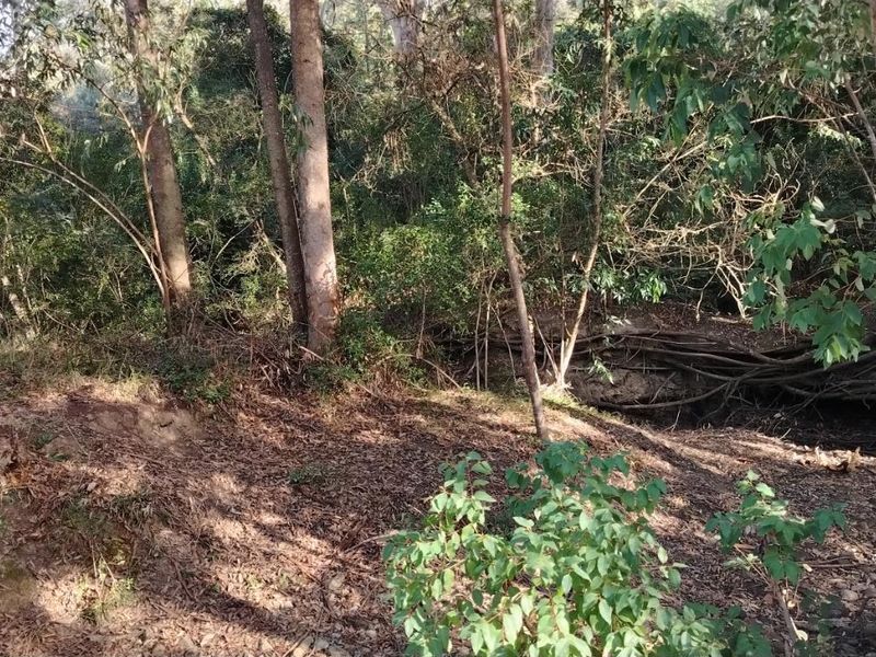 Rare Opportunity in Plettenberg Bay - Photo 3