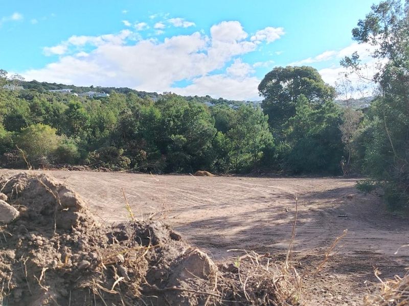 Rare Opportunity in Plettenberg Bay - Photo 10