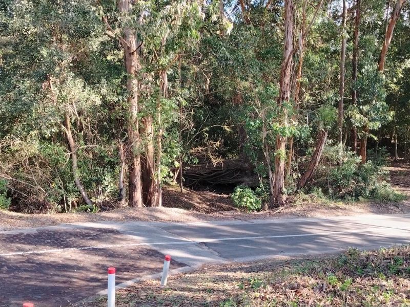 Rare Opportunity in Plettenberg Bay - Photo 7