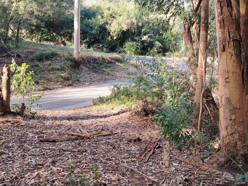 Rare Opportunity in Plettenberg Bay - Photo 8