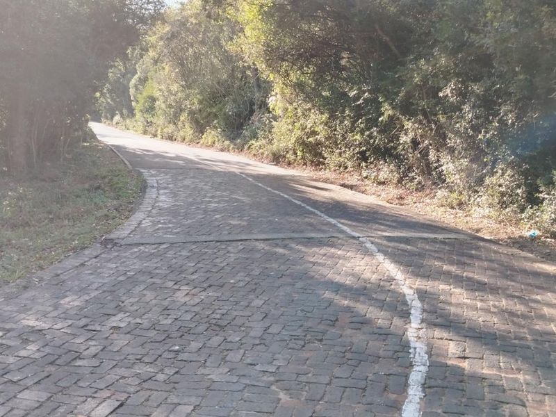 Rare Opportunity in Plettenberg Bay - Photo 6