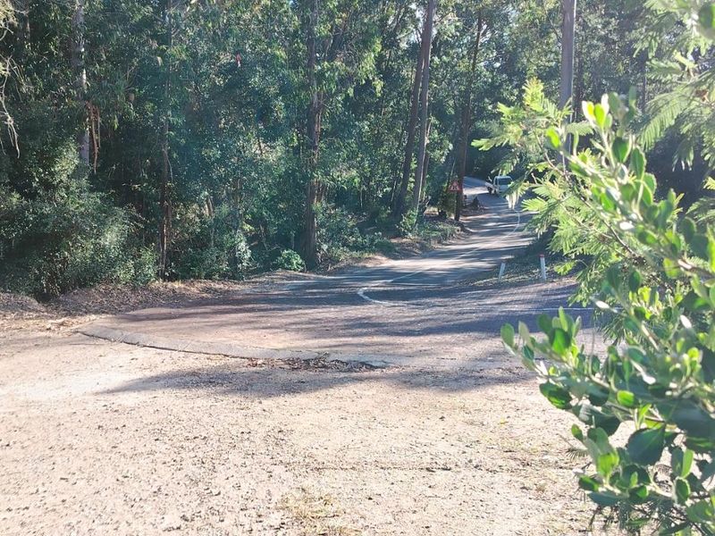 Rare Opportunity in Plettenberg Bay - Photo 2