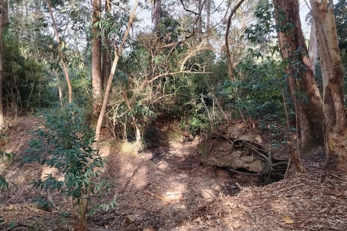 Rare Opportunity in Plettenberg Bay - Photo 5