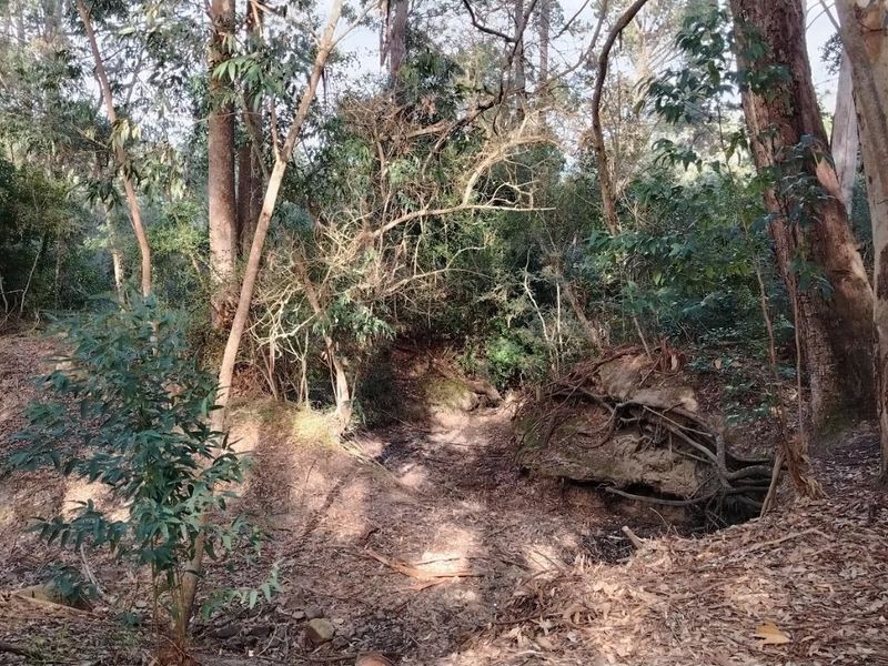 Rare Opportunity in Plettenberg Bay - Photo 5