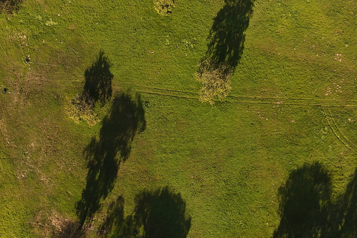 Exclusive Plots for Sale in Bossenzicht Luxury Estate - Photo 5