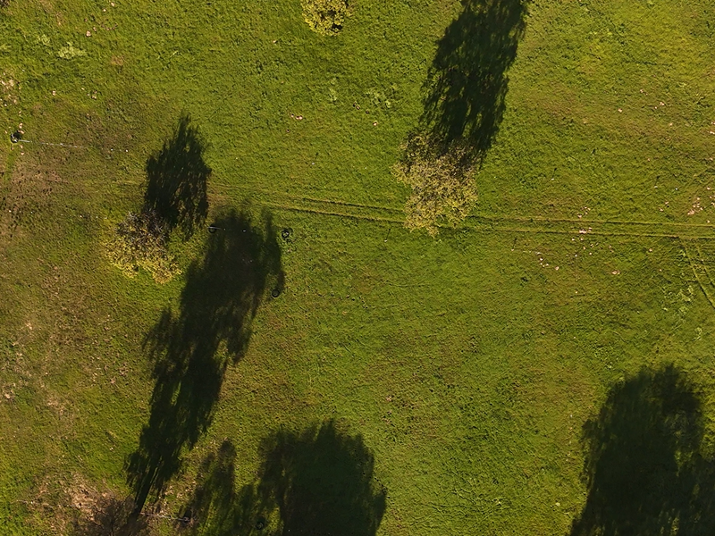 Exclusive Plots for Sale in Bossenzicht Luxury Estate - Photo 5