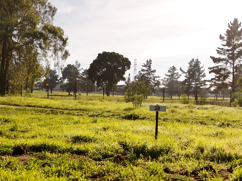 Exclusive Plots for Sale in Bossenzicht Luxury Estate - Photo 10