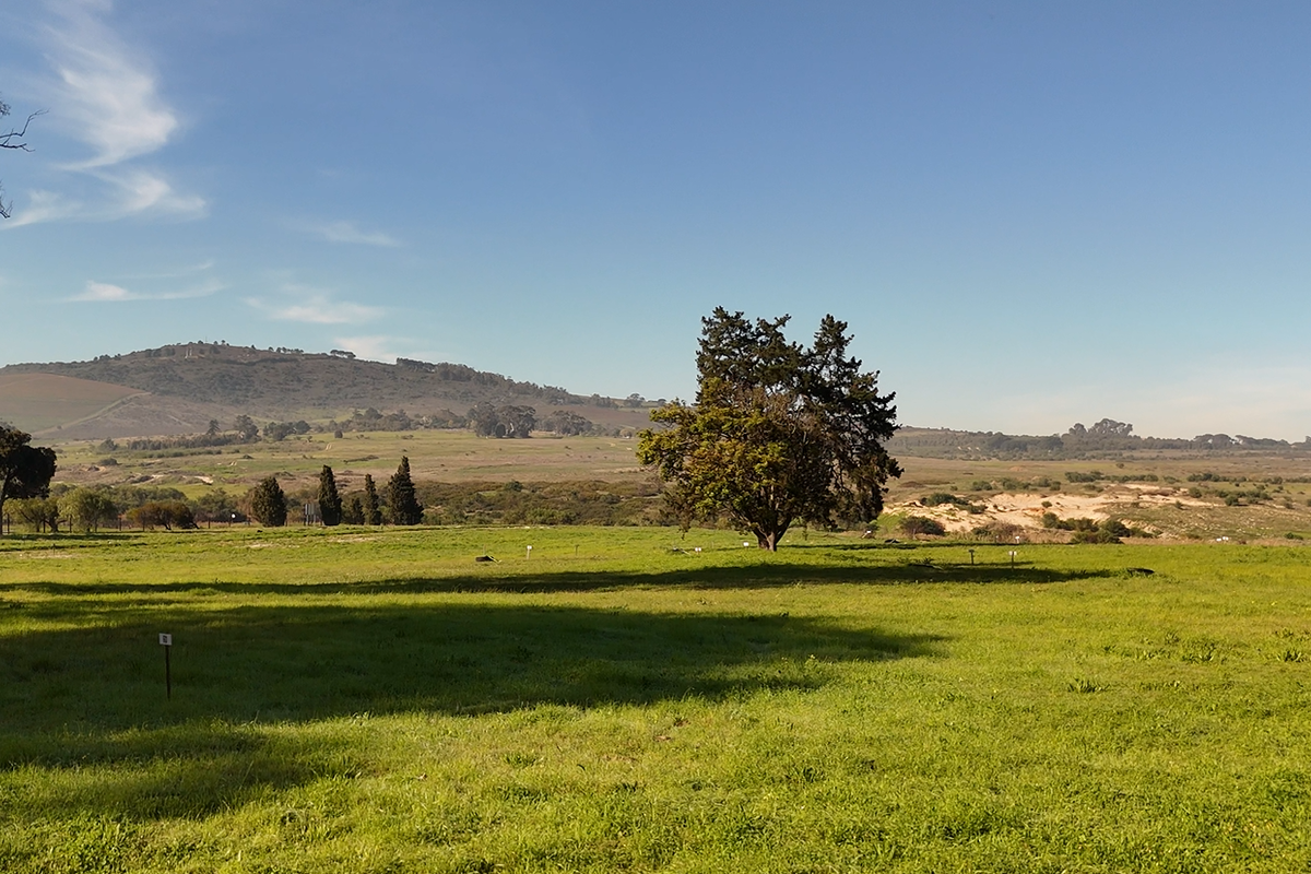 Exclusive Plots for Sale in Bossenzicht Luxury Estate - Photo 4