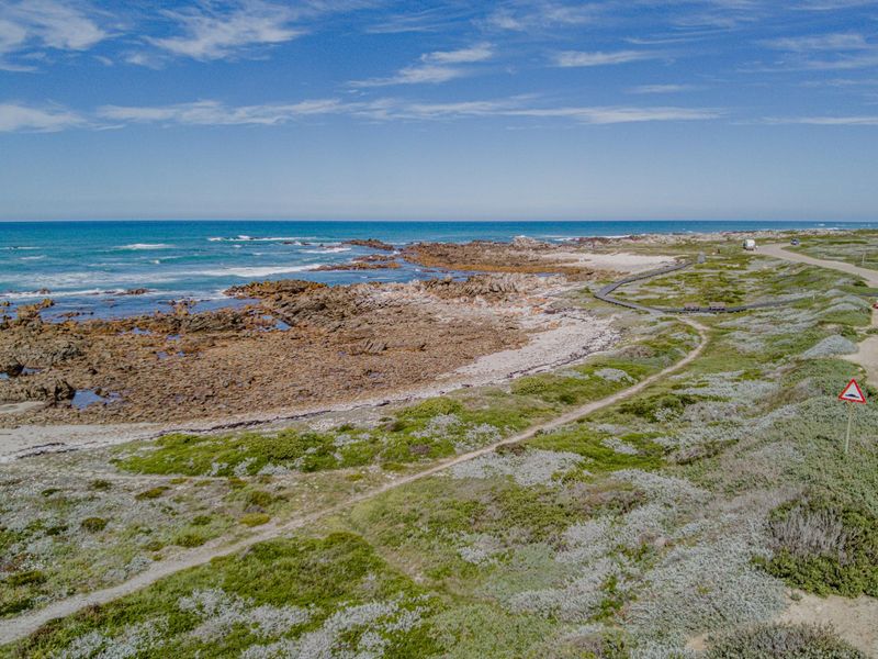 Aerial view of a coastal residential area featuring a paved road, natural vegetation, and a scenic rocky shoreline.