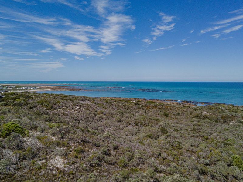 An aerial view of a vacant coastal residential plot featuring native vegetation and direct proximity to the ocean shoreline.