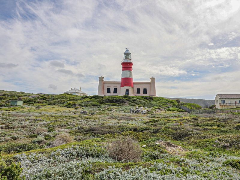 A scenic view of a historic lighthouse situated on a coastal landscape with native vegetation.