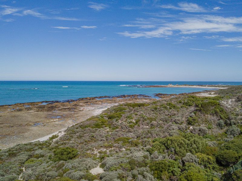 An aerial view of the coastal property featuring native vegetation, rocky shoreline, and expansive ocean views.
