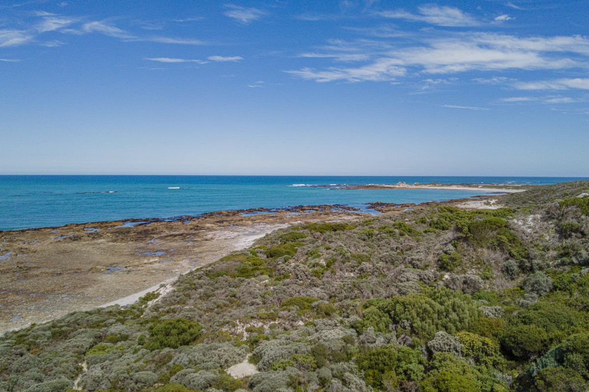 An aerial view of the coastal property featuring native vegetation, rocky shoreline, and expansive ocean views.