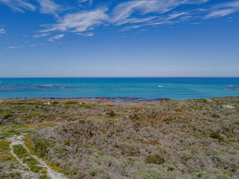 An aerial view of a vacant residential plot featuring native coastal vegetation and direct ocean frontage.