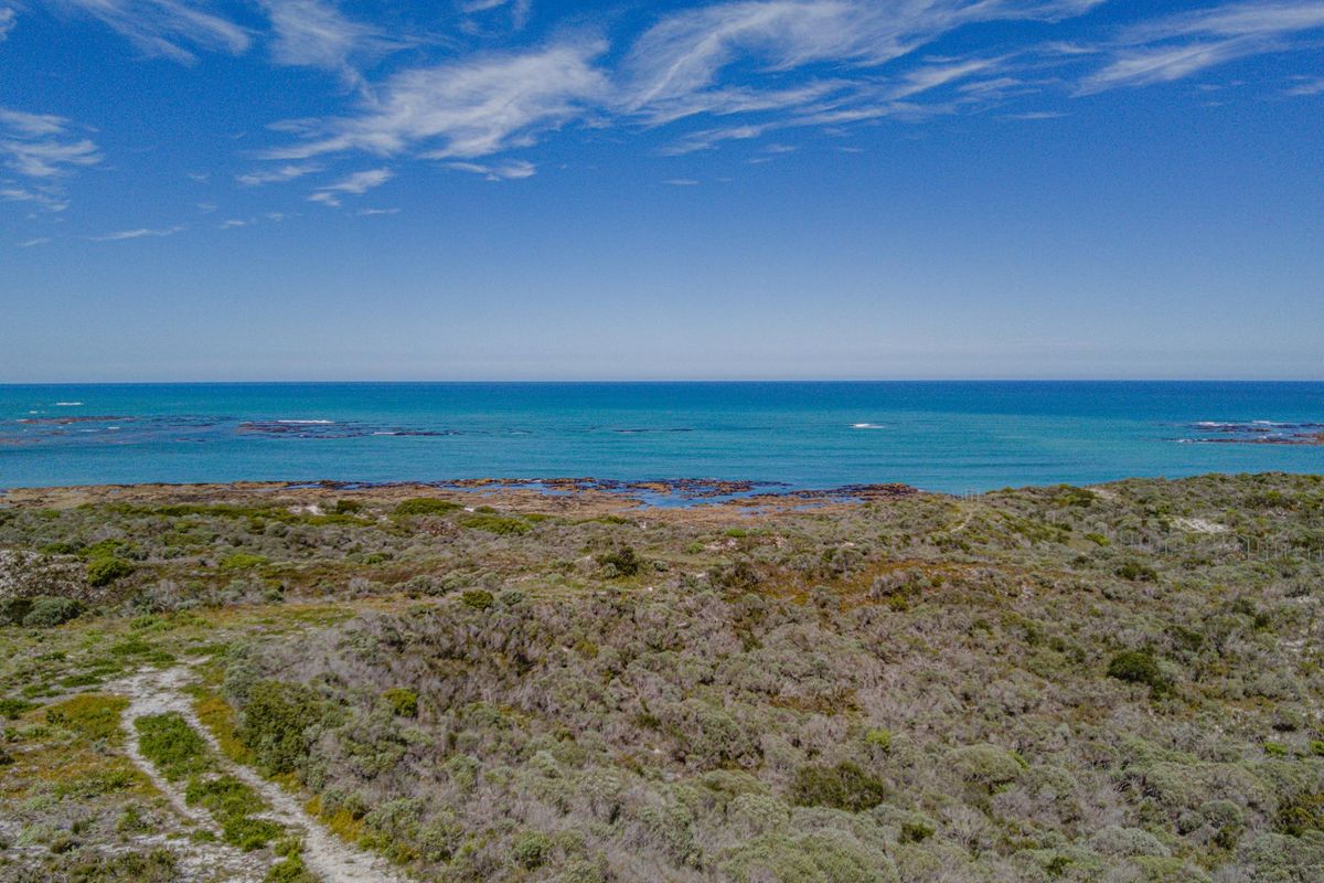 An aerial view of a vacant residential plot featuring native coastal vegetation and direct ocean frontage.