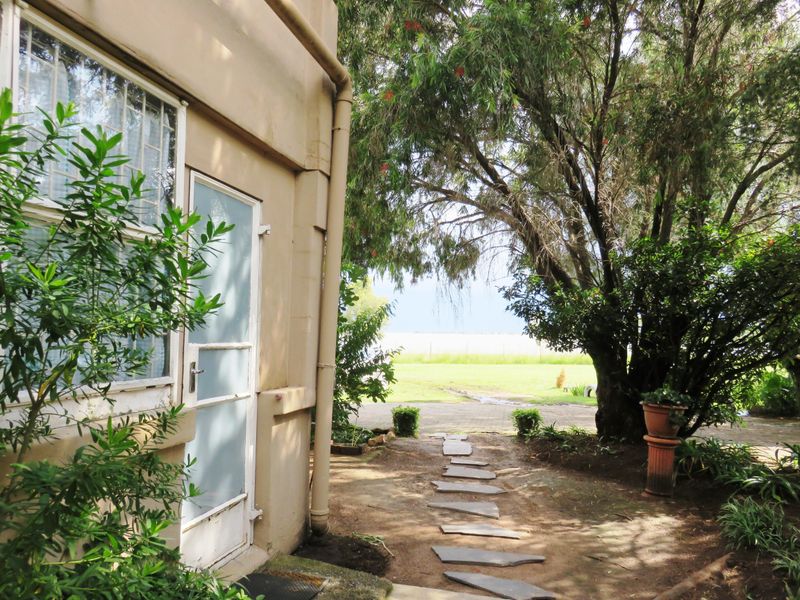 A view of the rear exterior of the apartment featuring a security door, casement window, and a stone pathway leading into the garden area.