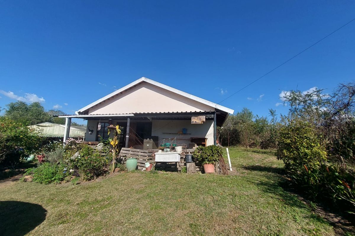 Prime Sub-dividable Land with Cottage – 10,019sqm - Photo 5