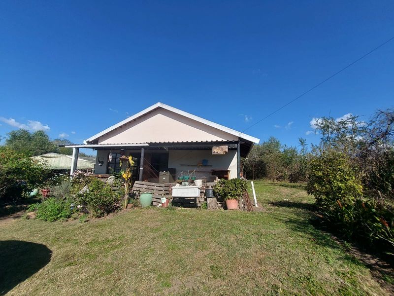 Prime Sub-dividable Land with Cottage – 10,019sqm - Photo 5