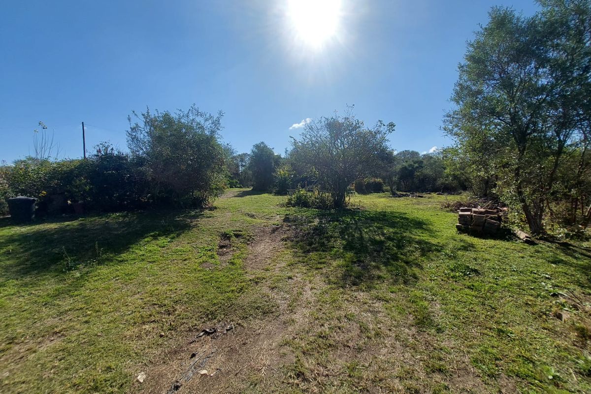 Prime Sub-dividable Land with Cottage – 10,019sqm - Photo 3