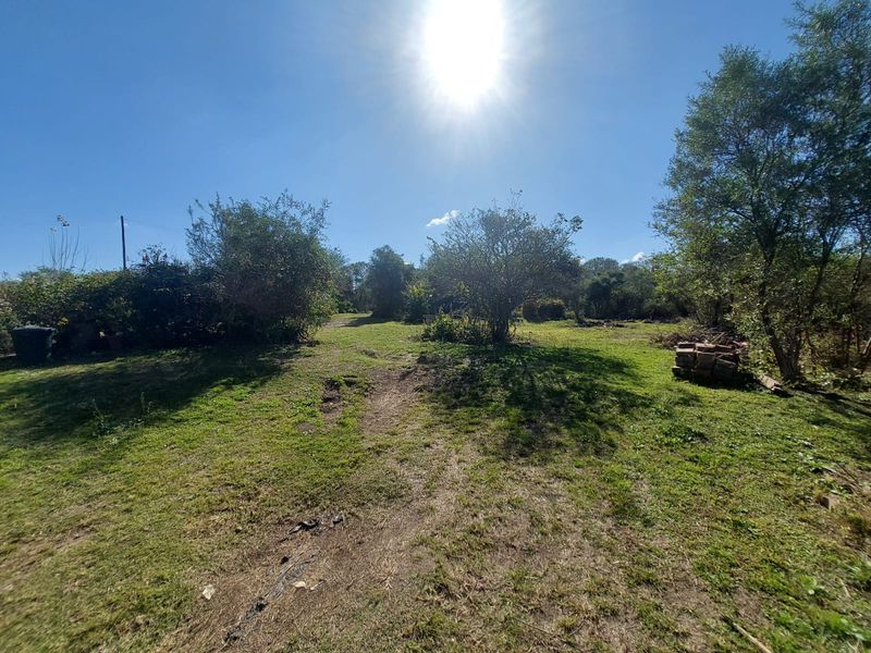 Prime Sub-dividable Land with Cottage – 10,019sqm - Photo 3