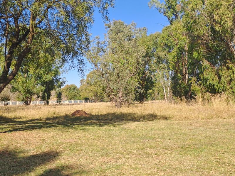 Prestigious living in the upscale location - Photo 10