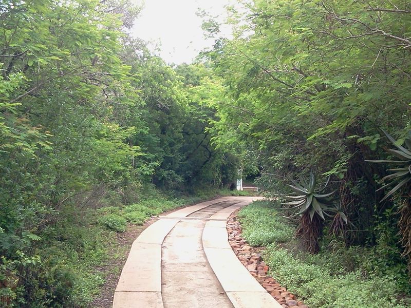 28 Ha valuable mountain land next to N4 Waterval Onder - Photo 7