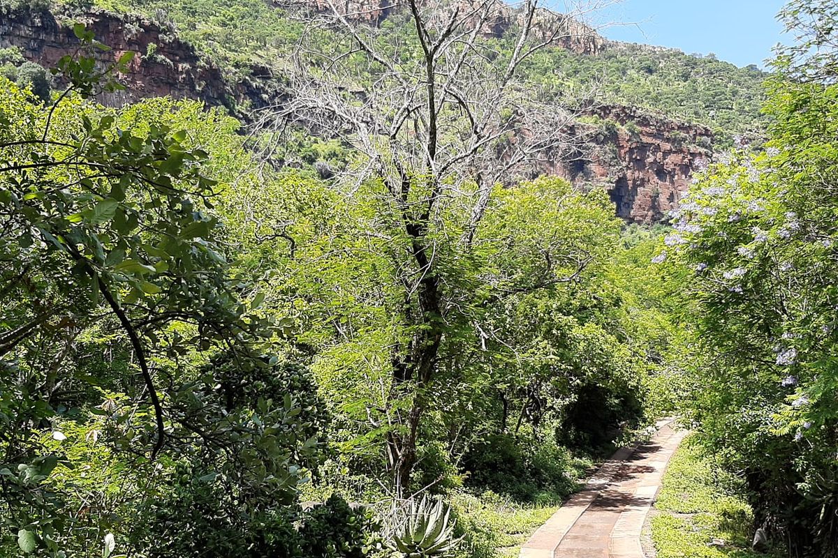 28 Ha valuable mountain land next to N4 Waterval Onder - Photo 3