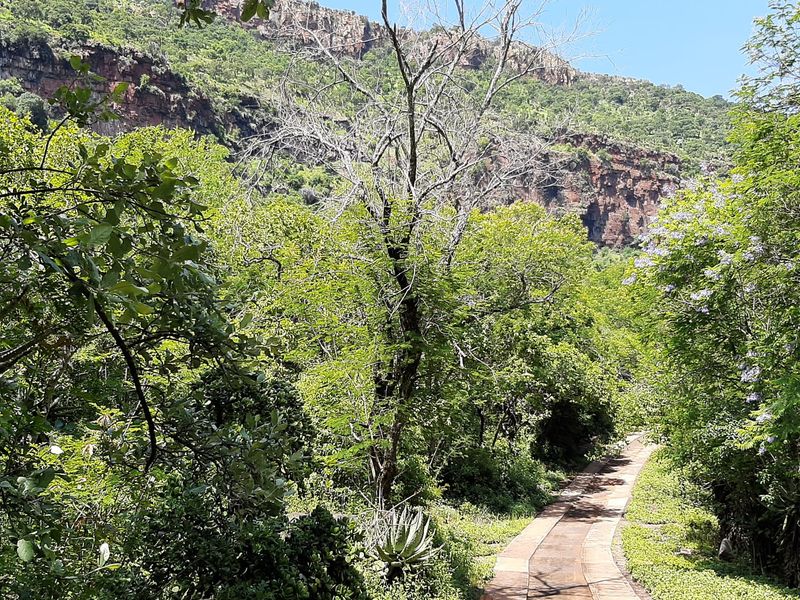 28 Ha valuable mountain land next to N4 Waterval Onder - Photo 3