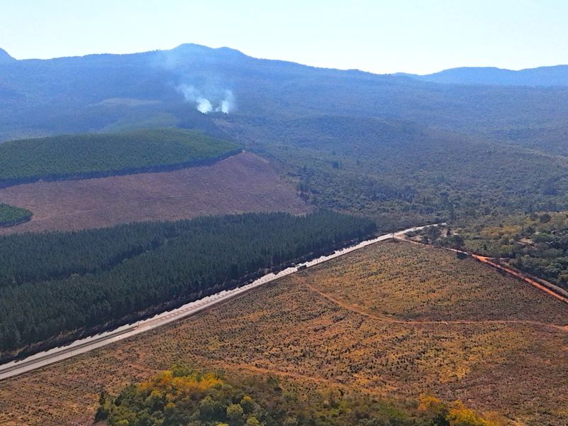 Vacant Land for Sale in Louis Trichardt - Photo 6