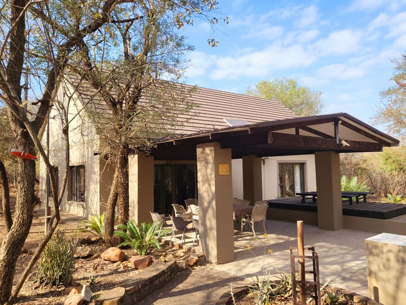 Rear view of the house featuring a spacious covered patio with timber decking, concrete pillars, and a tiled roof set in a natural landscape.