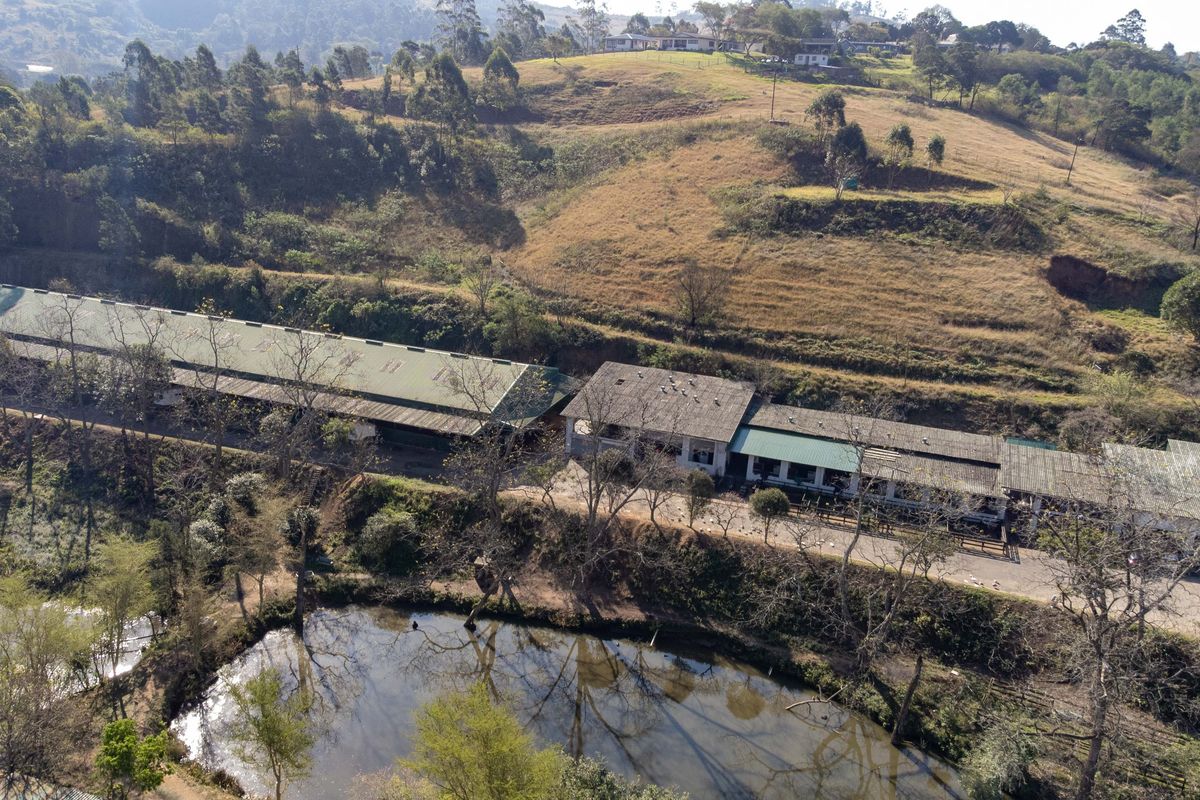 Exceptional Equestrian Property with High Income Returns - Photo 5