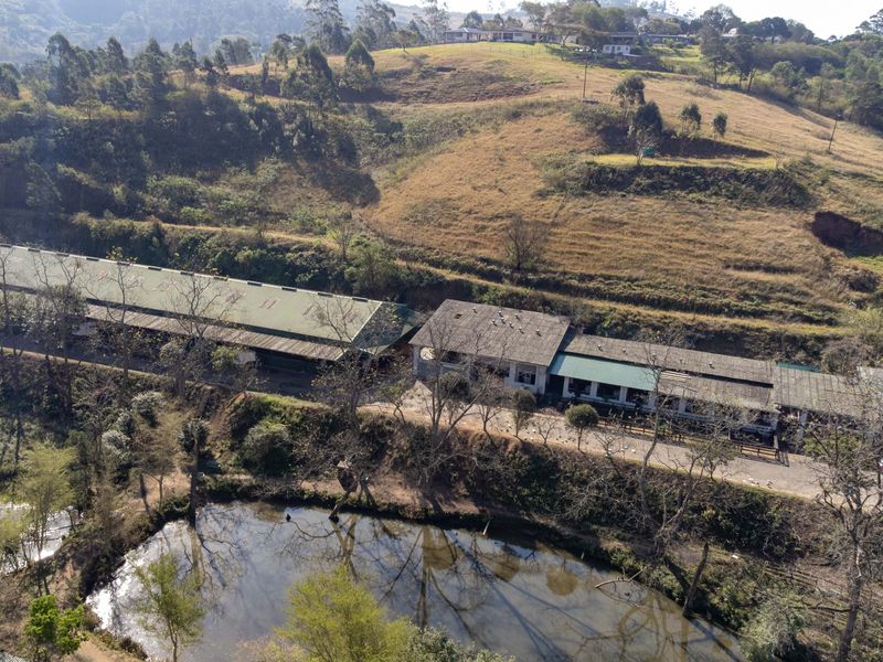 Exceptional Equestrian Property with High Income Returns - Photo 5