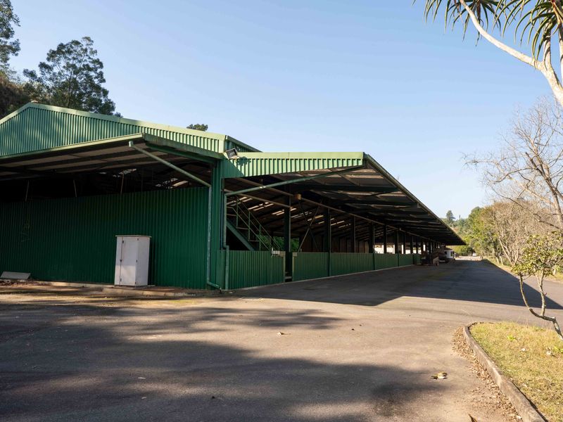 Exceptional Equestrian Property with High Income Returns - Photo 6