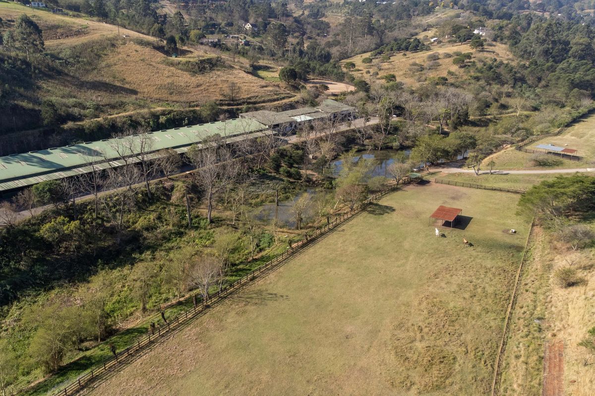 Exceptional Equestrian Property with High Income Returns - Photo 3