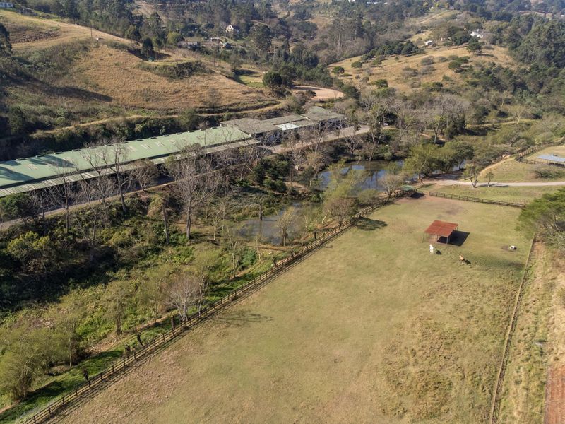 Exceptional Equestrian Property with High Income Returns - Photo 3