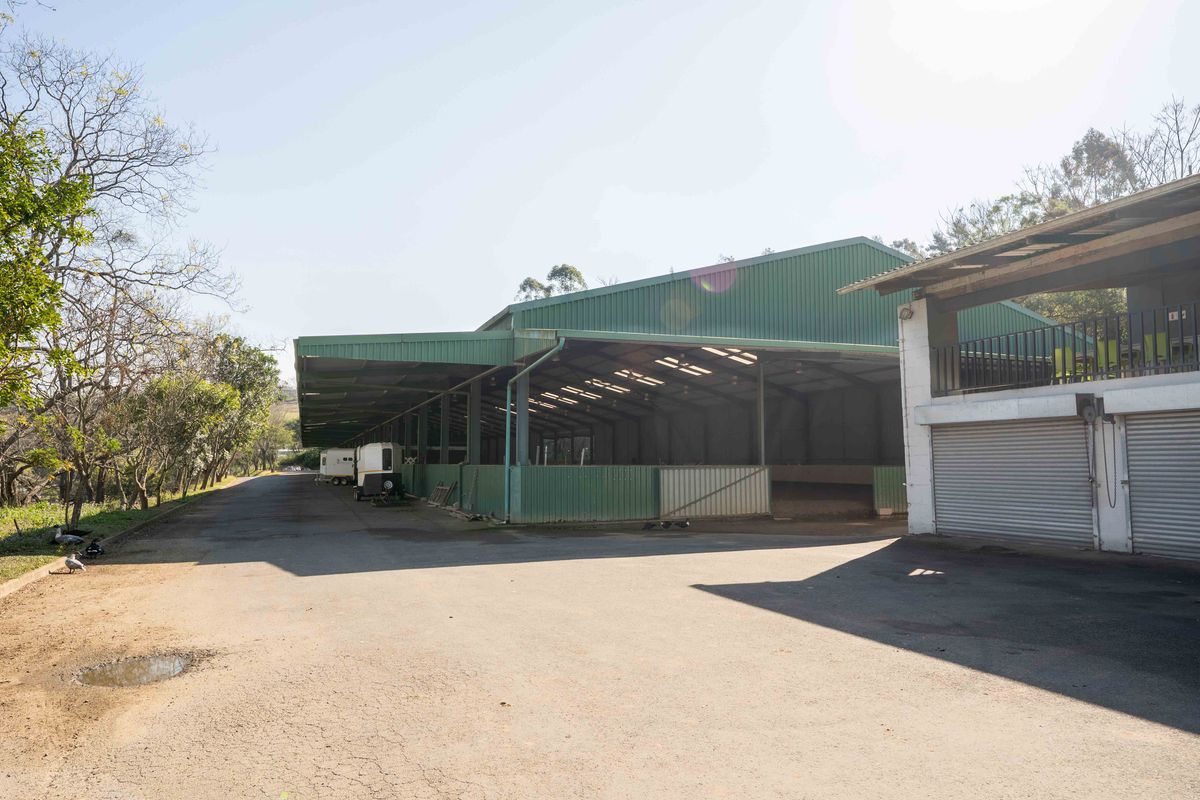 Large agricultural shed with metal roofing and steel structure, featuring an adjacent asphalt driveway and a roller shutter door.