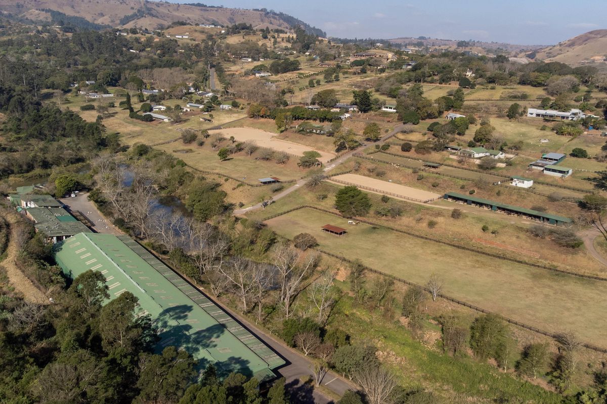 Exceptional Equestrian Property with High Income Returns - Photo 4