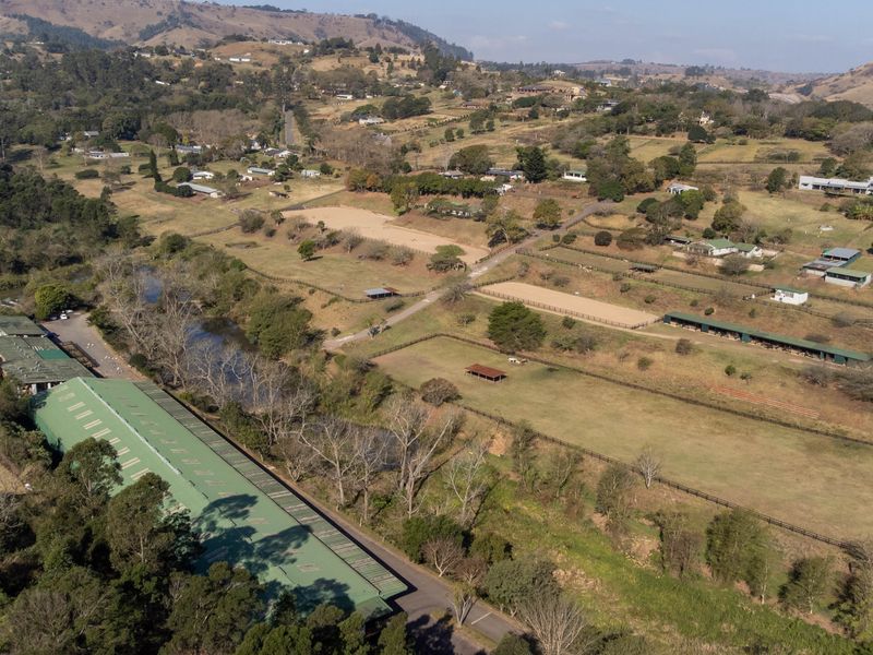 Exceptional Equestrian Property with High Income Returns - Photo 4