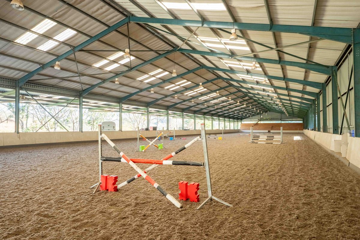 Exceptional Equestrian Property with High Income Returns - Photo 2