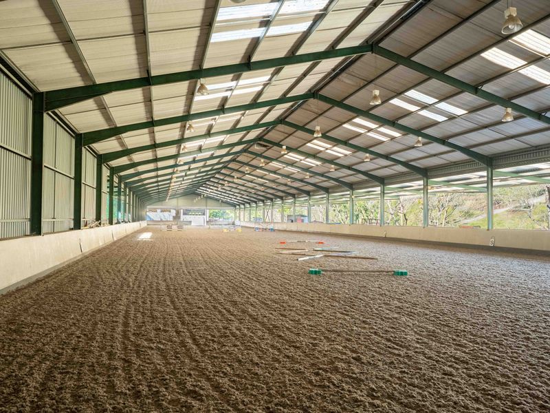 Exceptional Equestrian Property with High Income Returns - Photo 8