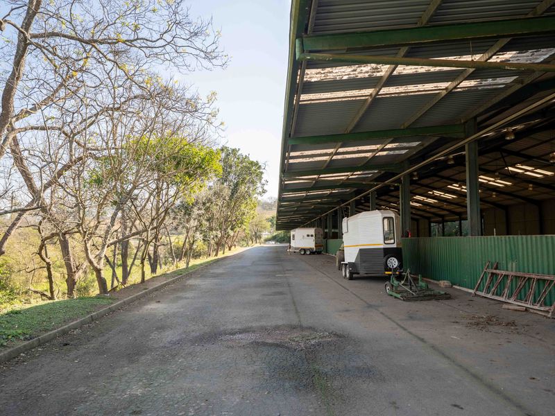 Exceptional Equestrian Property with High Income Returns - Photo 7