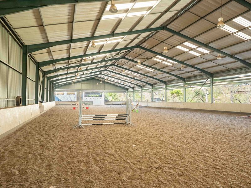 Exceptional Equestrian Property with High Income Returns - Photo 9