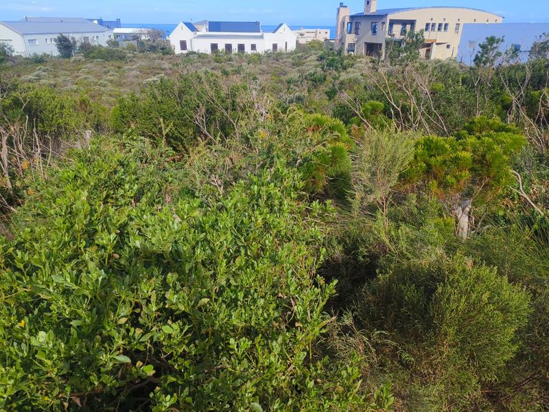 Rare 1338 m2 Plot in Sunny Seas, Betty's Bay — Build Your Coastal Dream - Photo 2