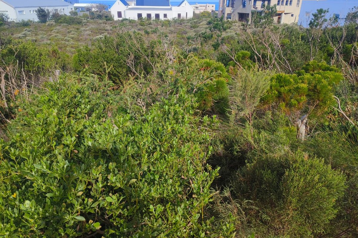 Rare 1338 m2 Plot in Sunny Seas, Betty's Bay — Build Your Coastal Dream - Photo 2