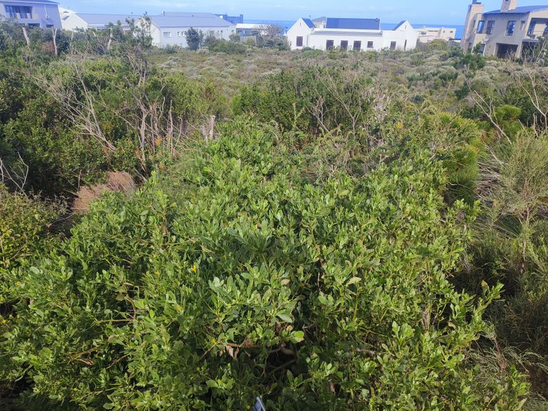 Rare 1338 m2 Plot in Sunny Seas, Betty's Bay — Build Your Coastal Dream - Photo 5