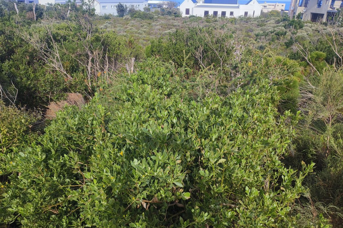 Rare 1338 m2 Plot in Sunny Seas, Betty's Bay — Build Your Coastal Dream - Photo 5