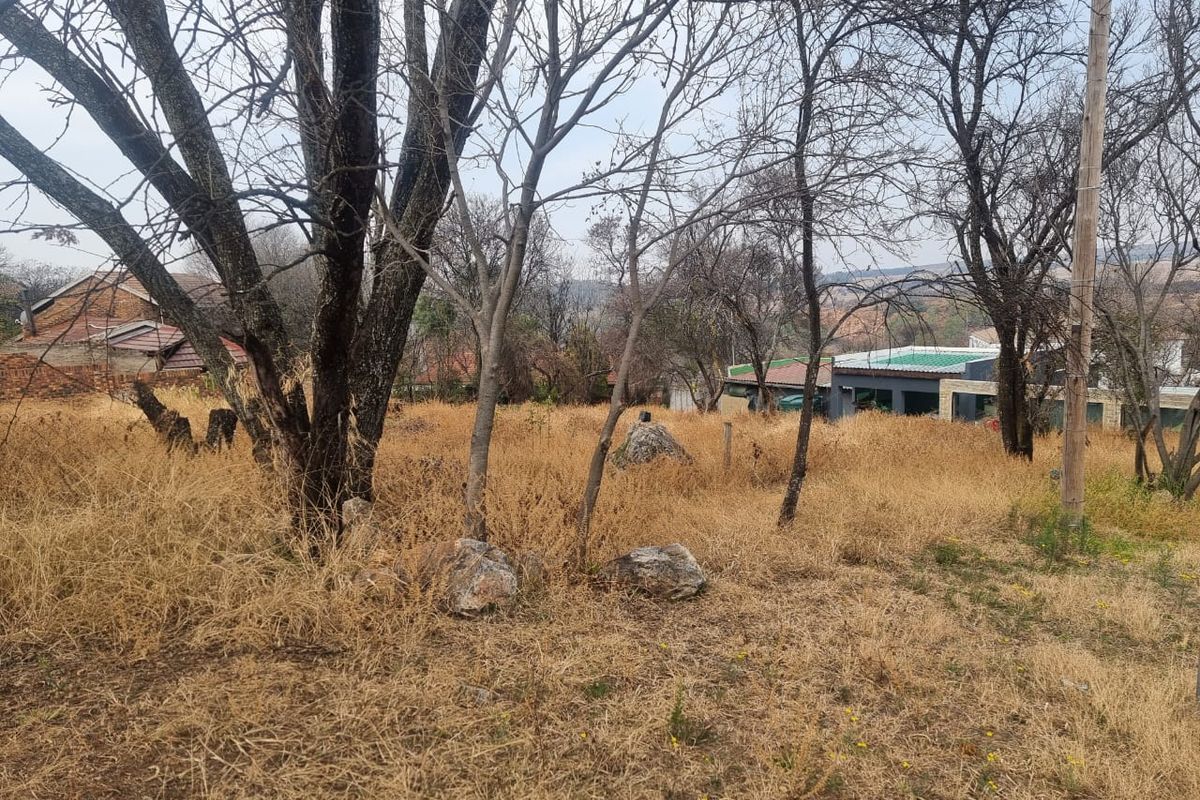 Stand for Sale in Vaaloewer – Walking Distance to the Vaal River - Photo 3